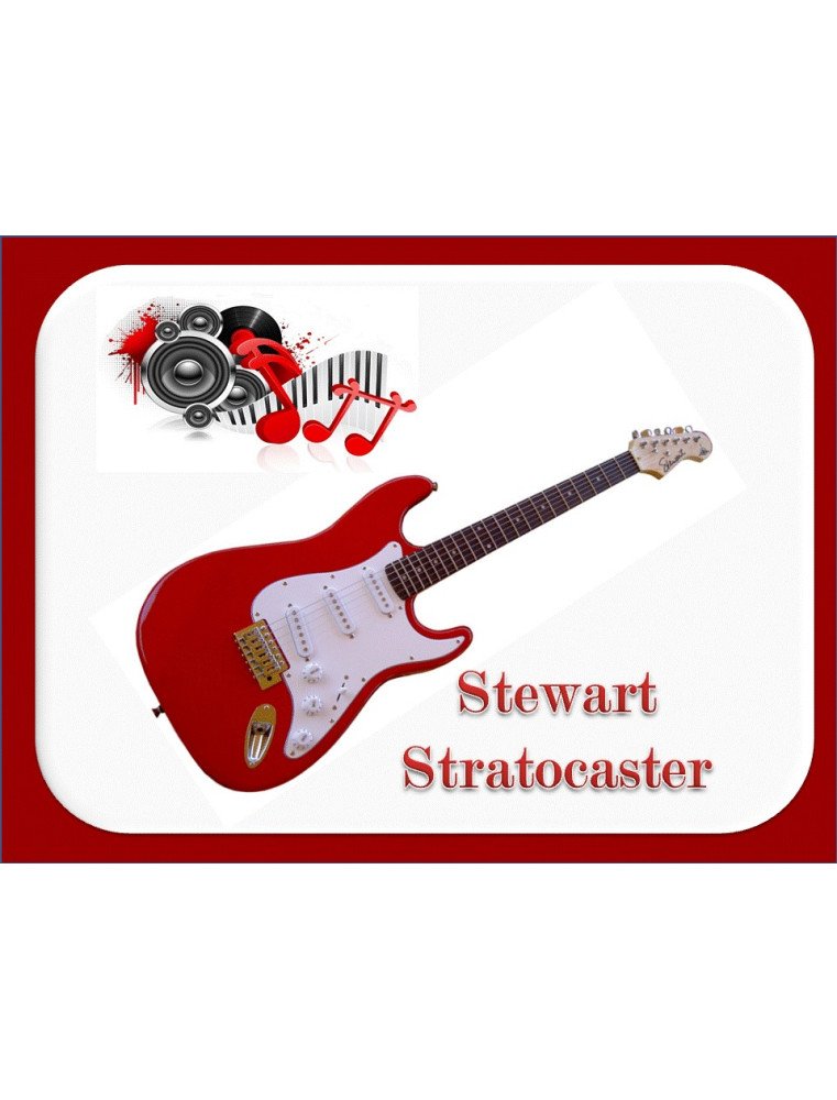 GUITARRA ELECTRICA STEWART STRATOCASTER